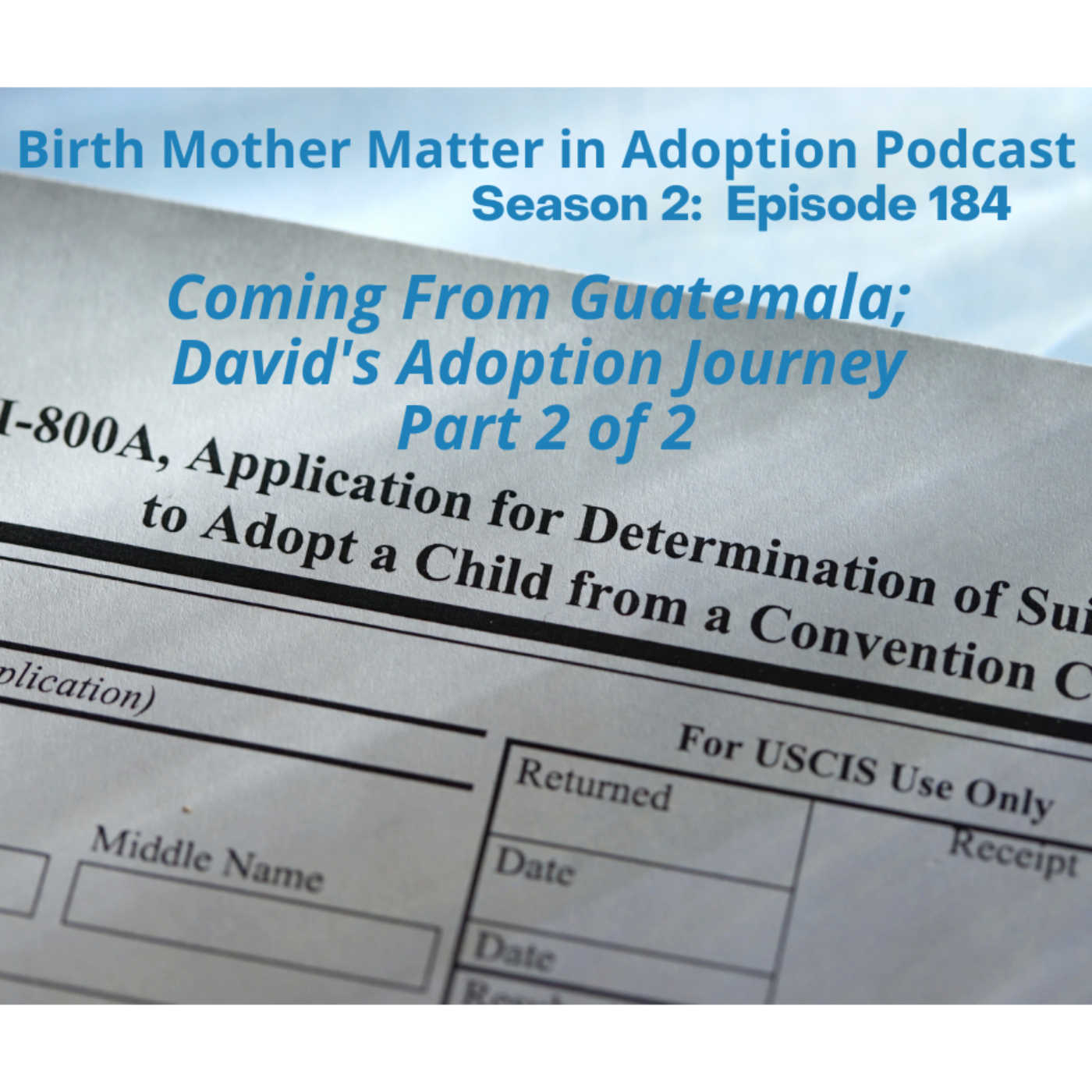 Birth Mother Matters in Adoption