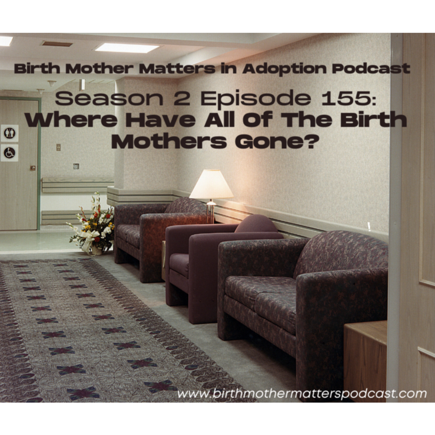 Birth Mother Matters in Adoption