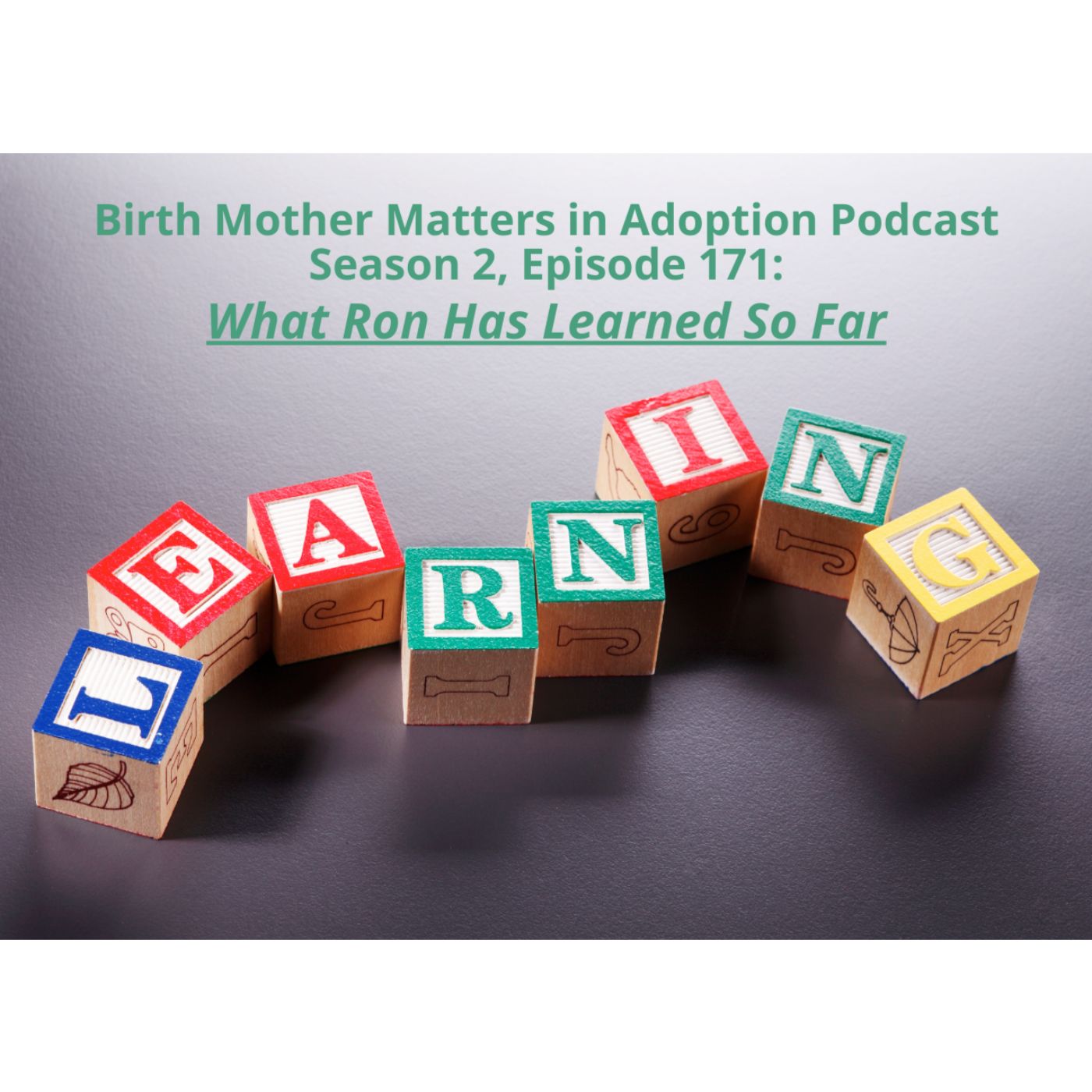 Birth Mother Matters in Adoption