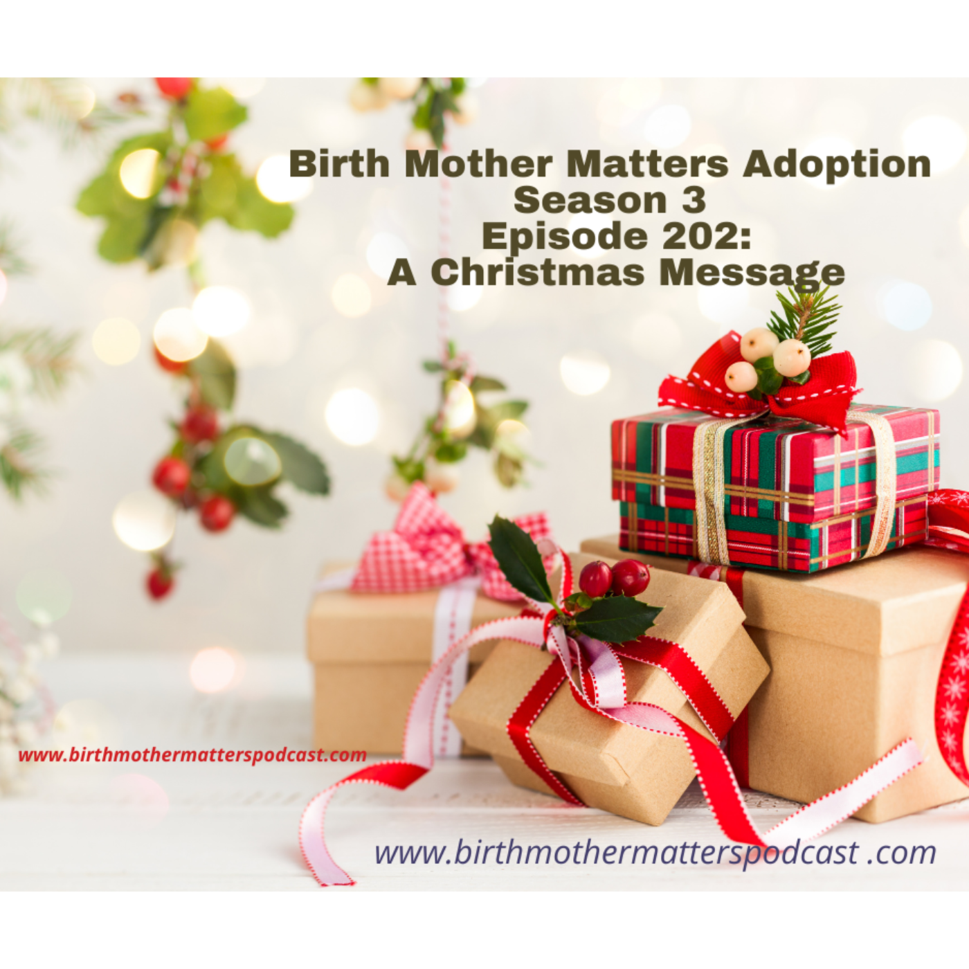 Birth Mother Matters in Adoption