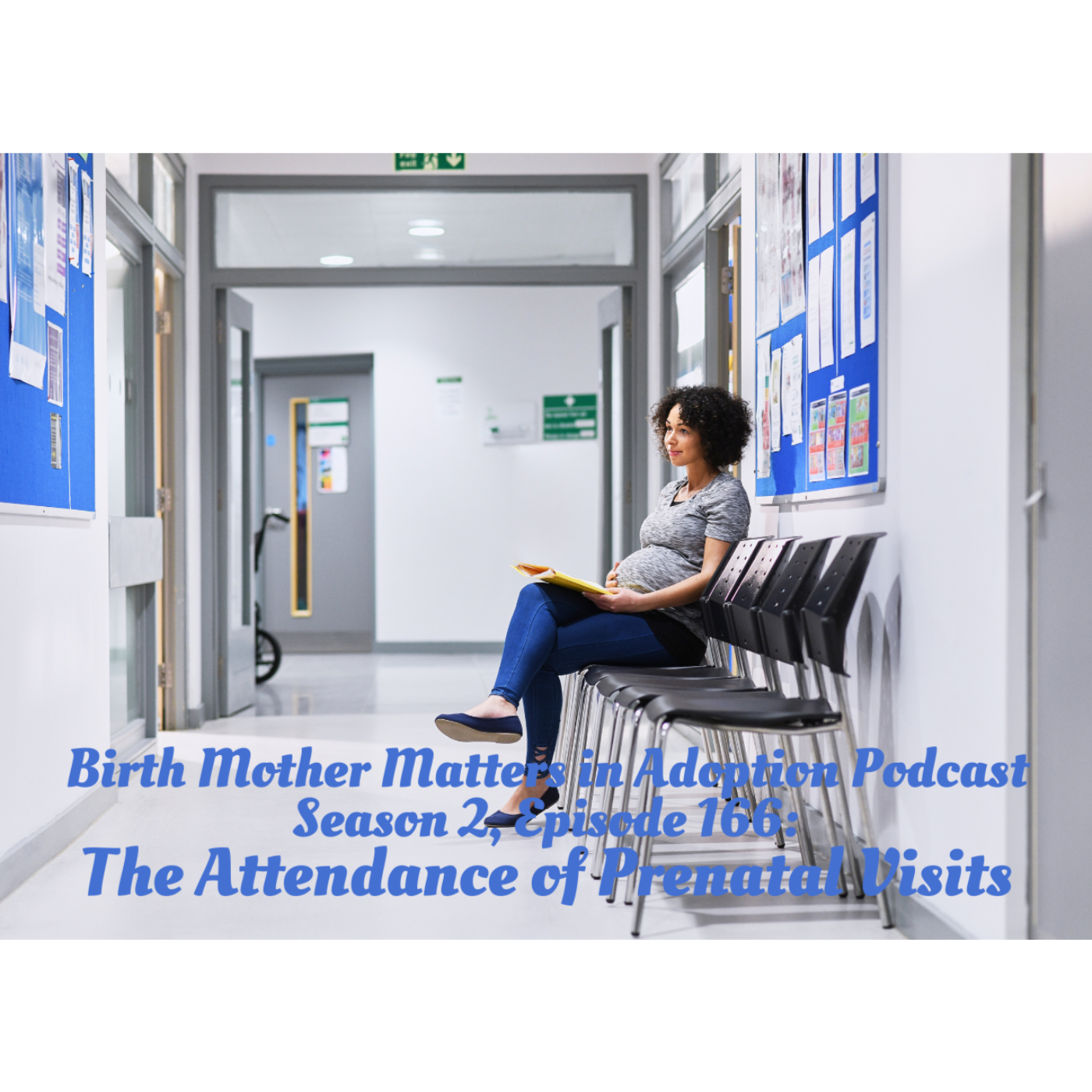 Birth Mother Matters in Adoption
