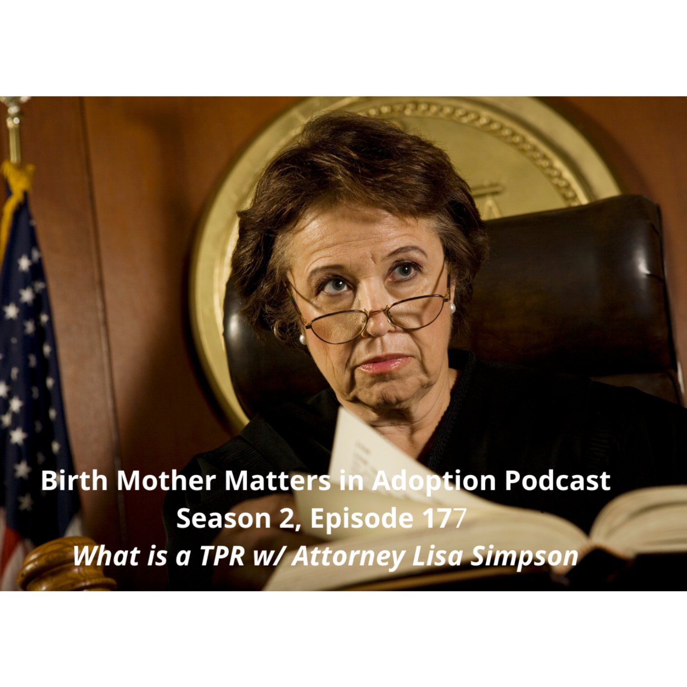 Birth Mother Matters in Adoption