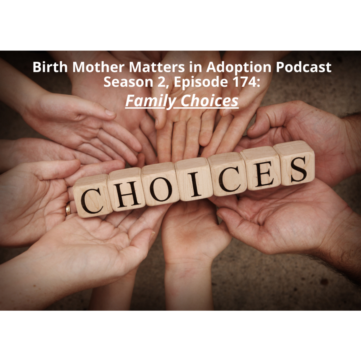 Birth Mother Matters in Adoption
