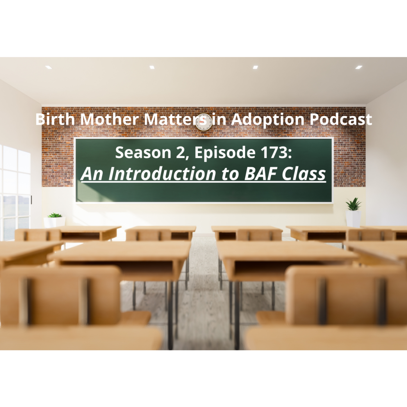 Birth Mother Matters in Adoption