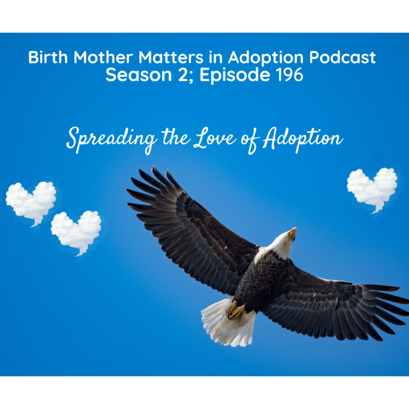 Birth Mother Matters in Adoption