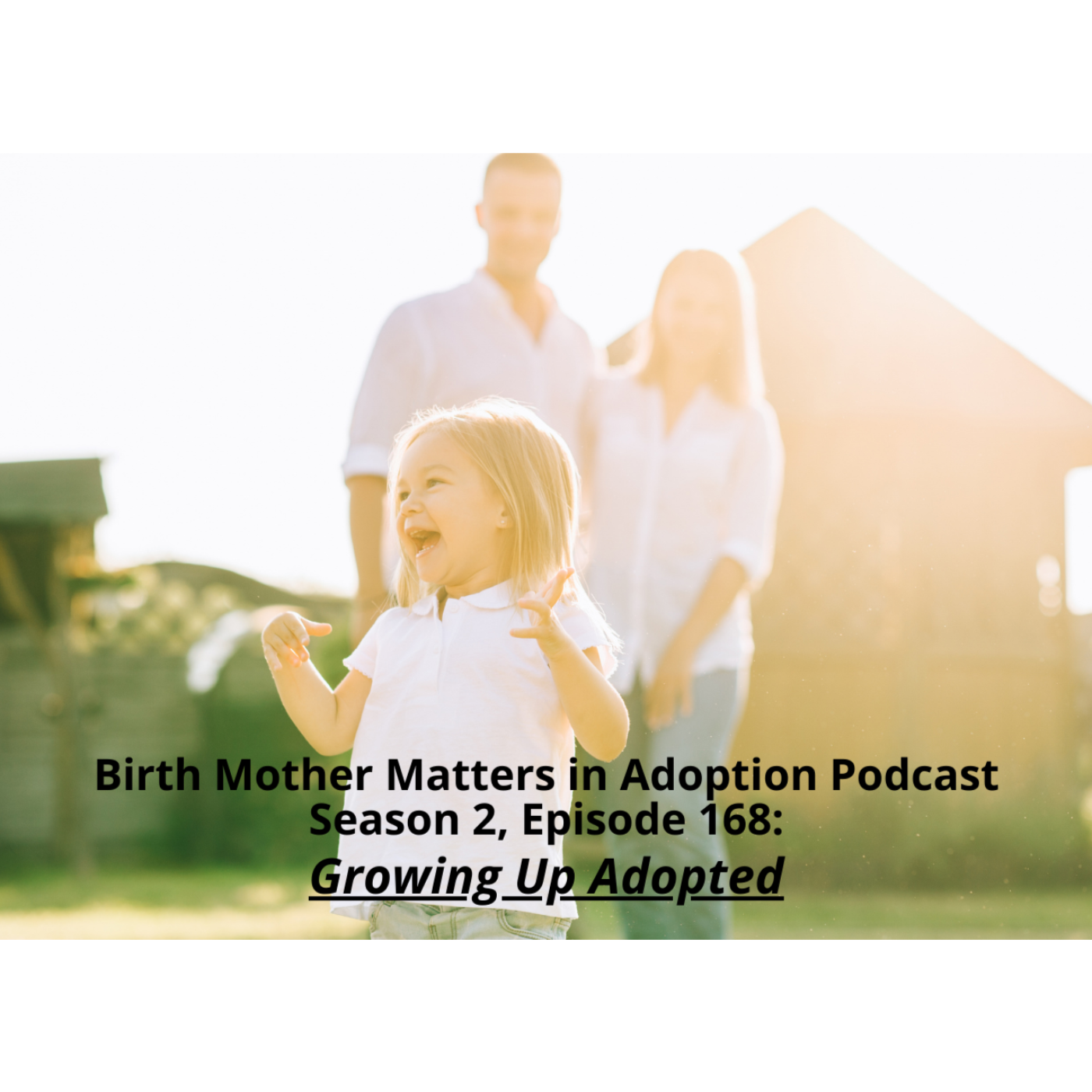 Birth Mother Matters in Adoption