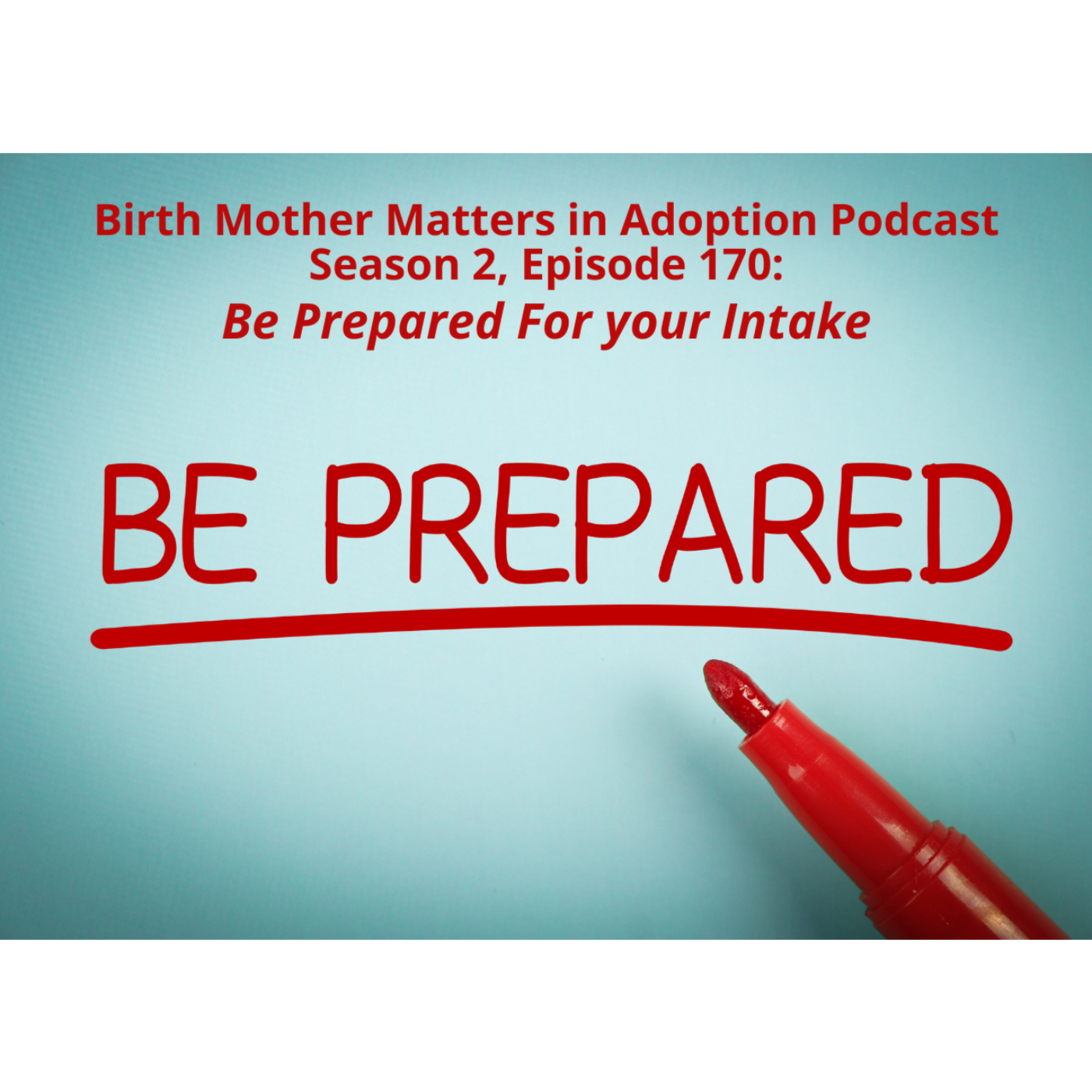 Birth Mother Matters in Adoption