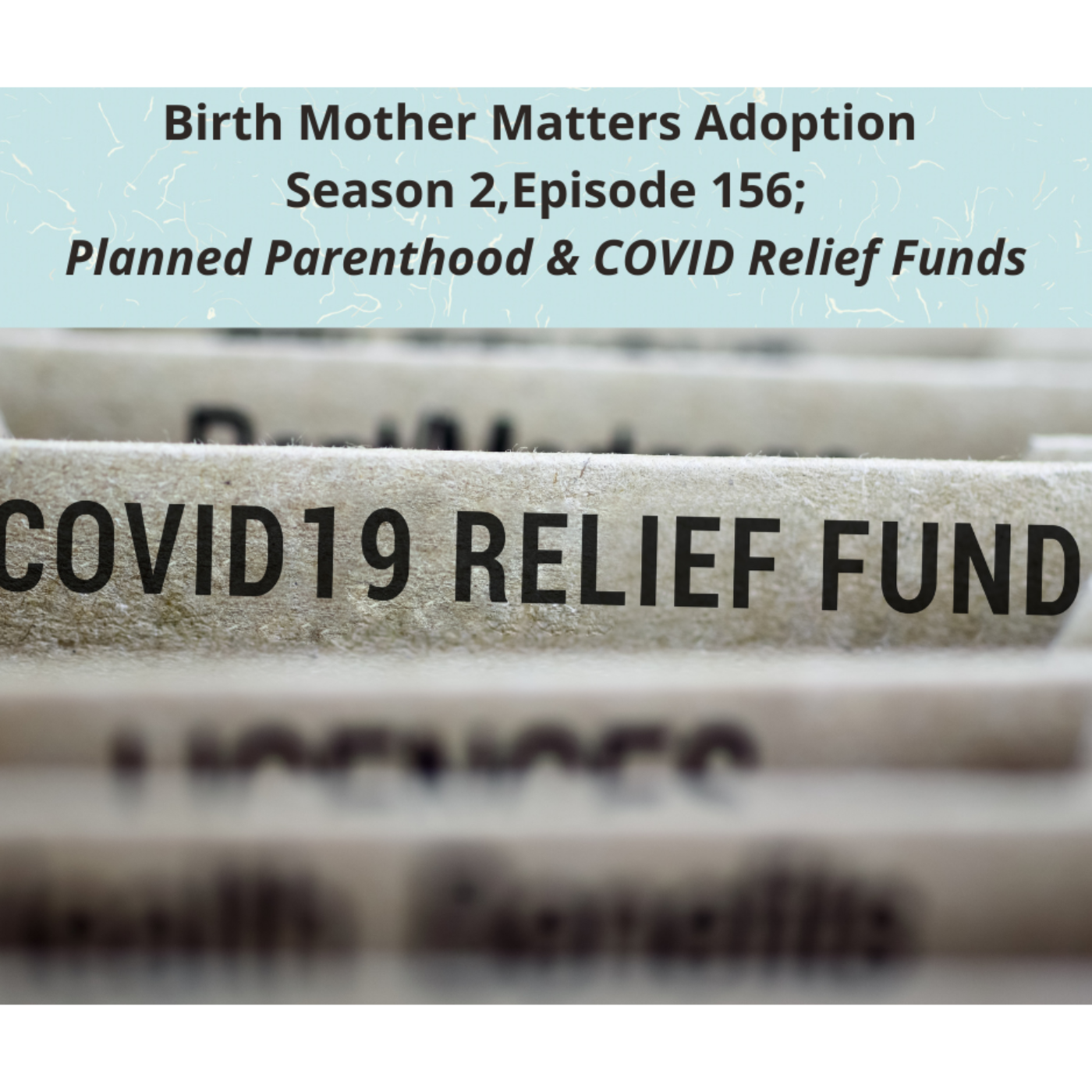 Birth Mother Matters in Adoption