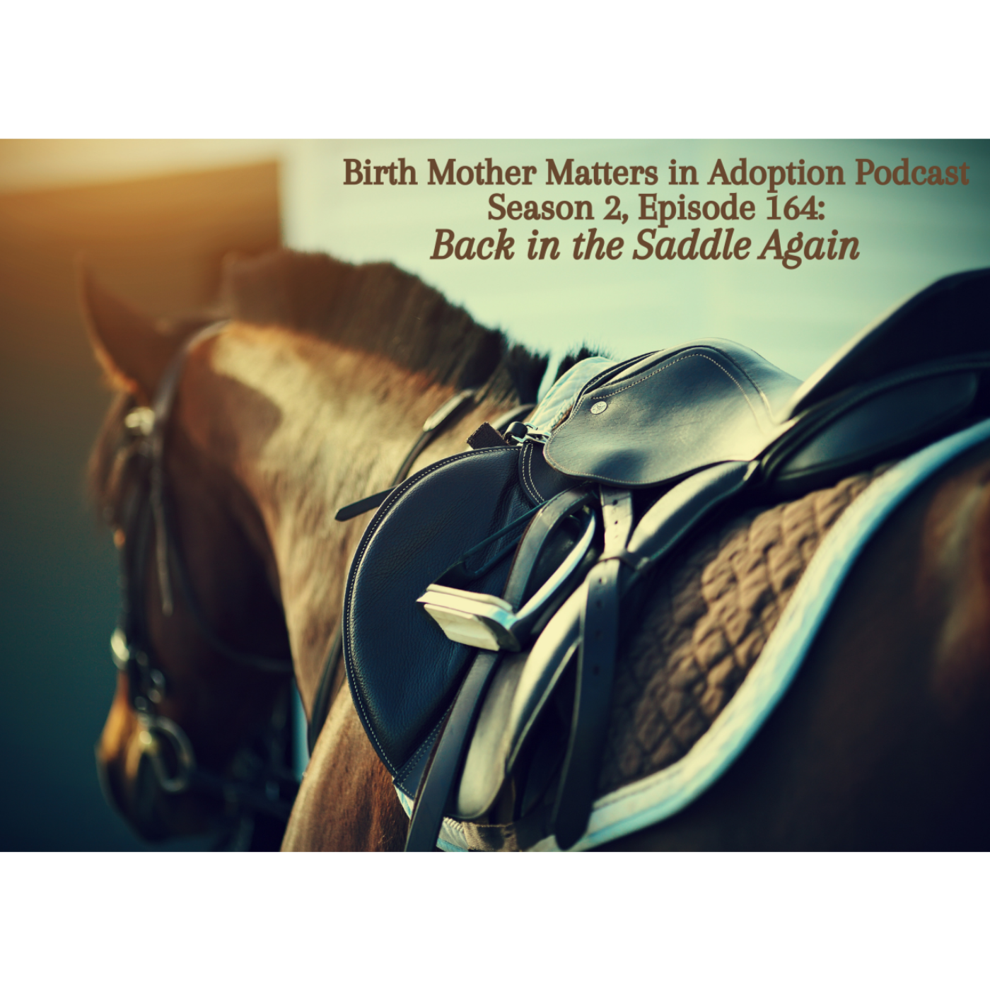 Birth Mother Matters in Adoption
