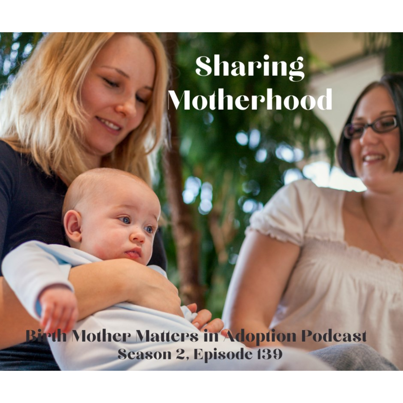 Birth Mother Matters in Adoption