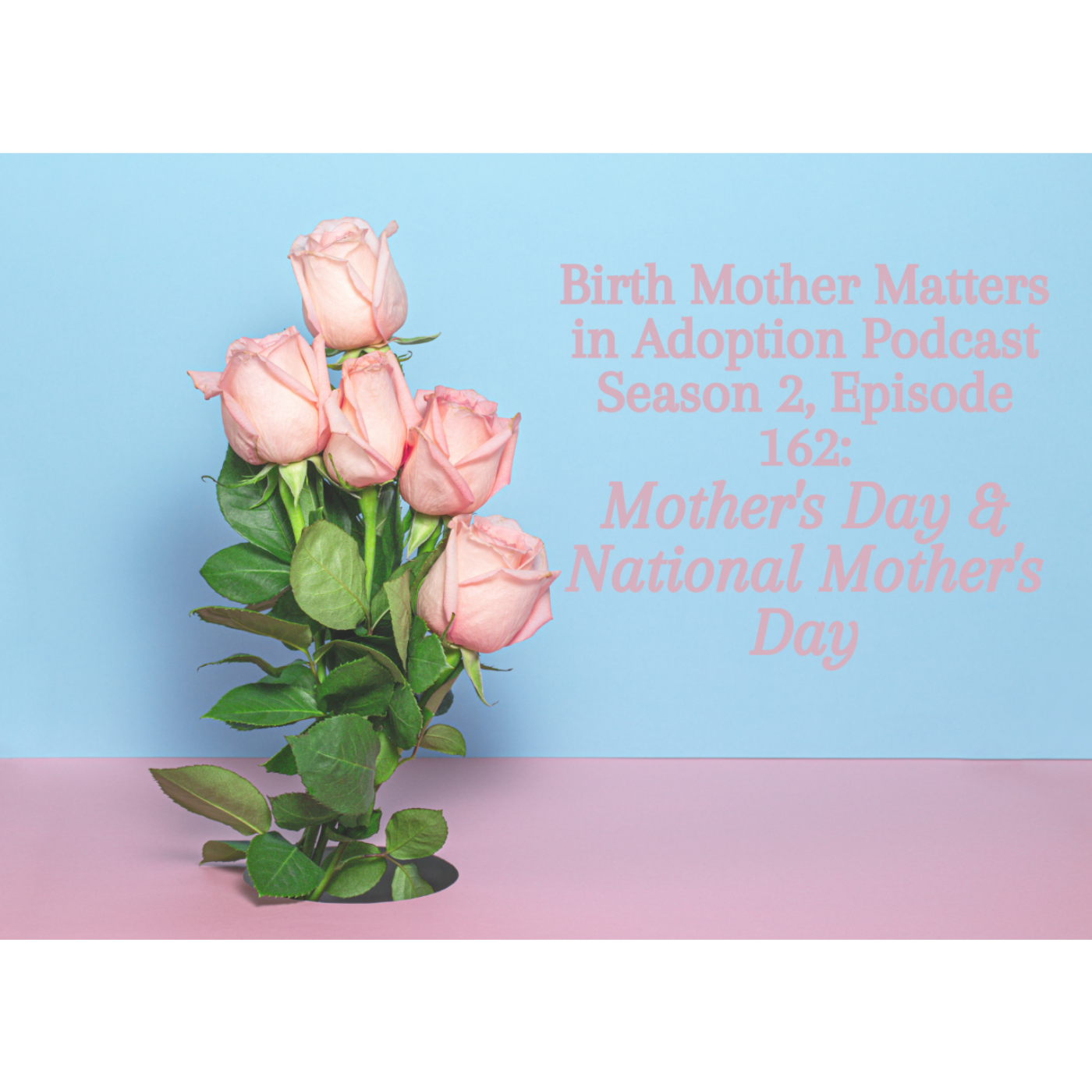 Birth Mother Matters in Adoption