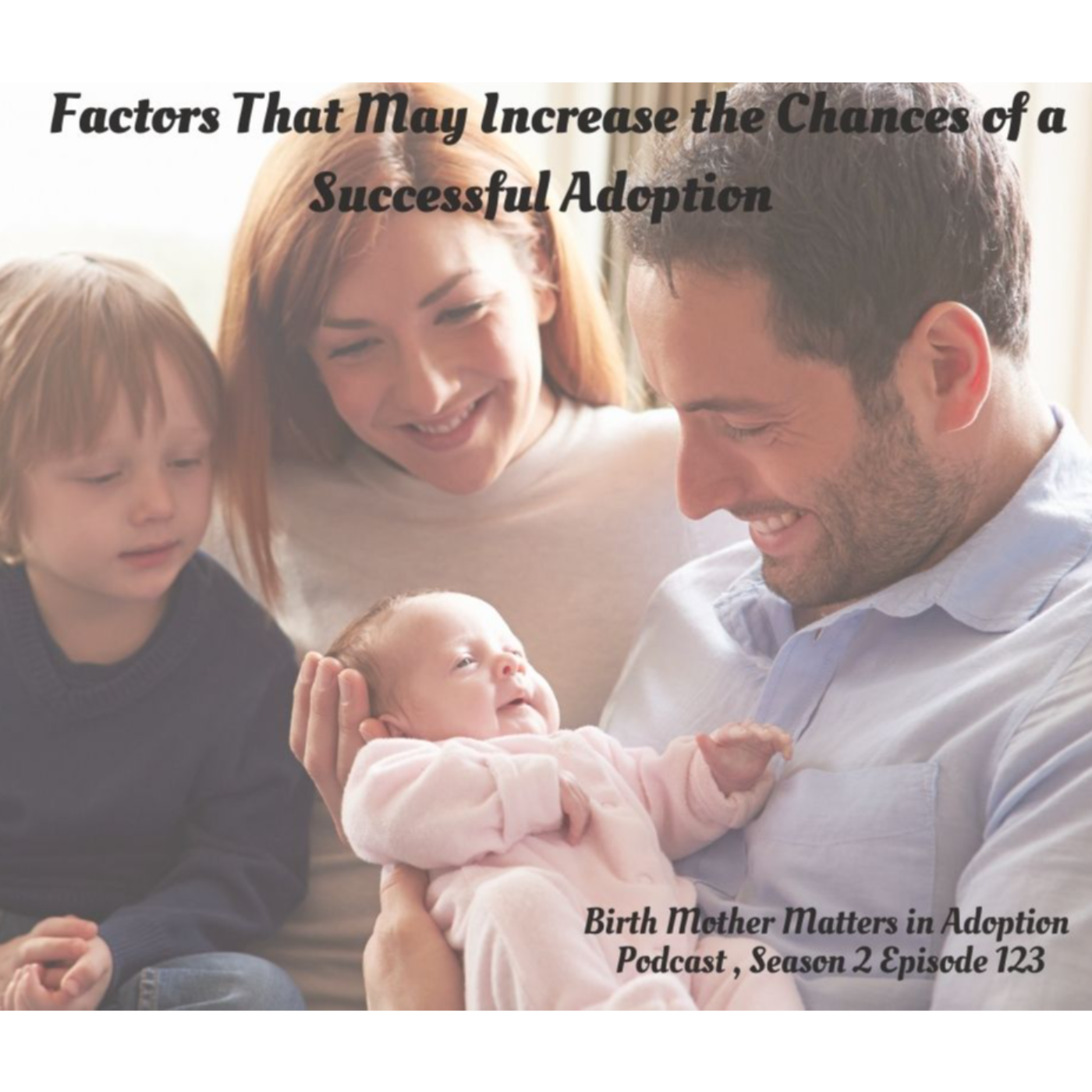 Birth Mother Matters in Adoption Season 2, 123: Factors Contributing to Success episode artwork