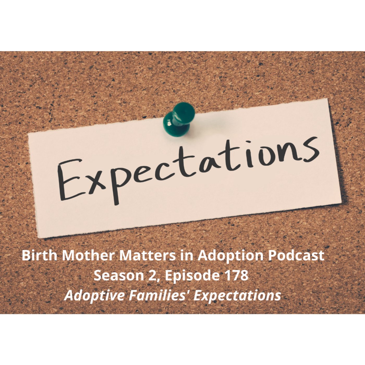 Birth Mother Matters in Adoption