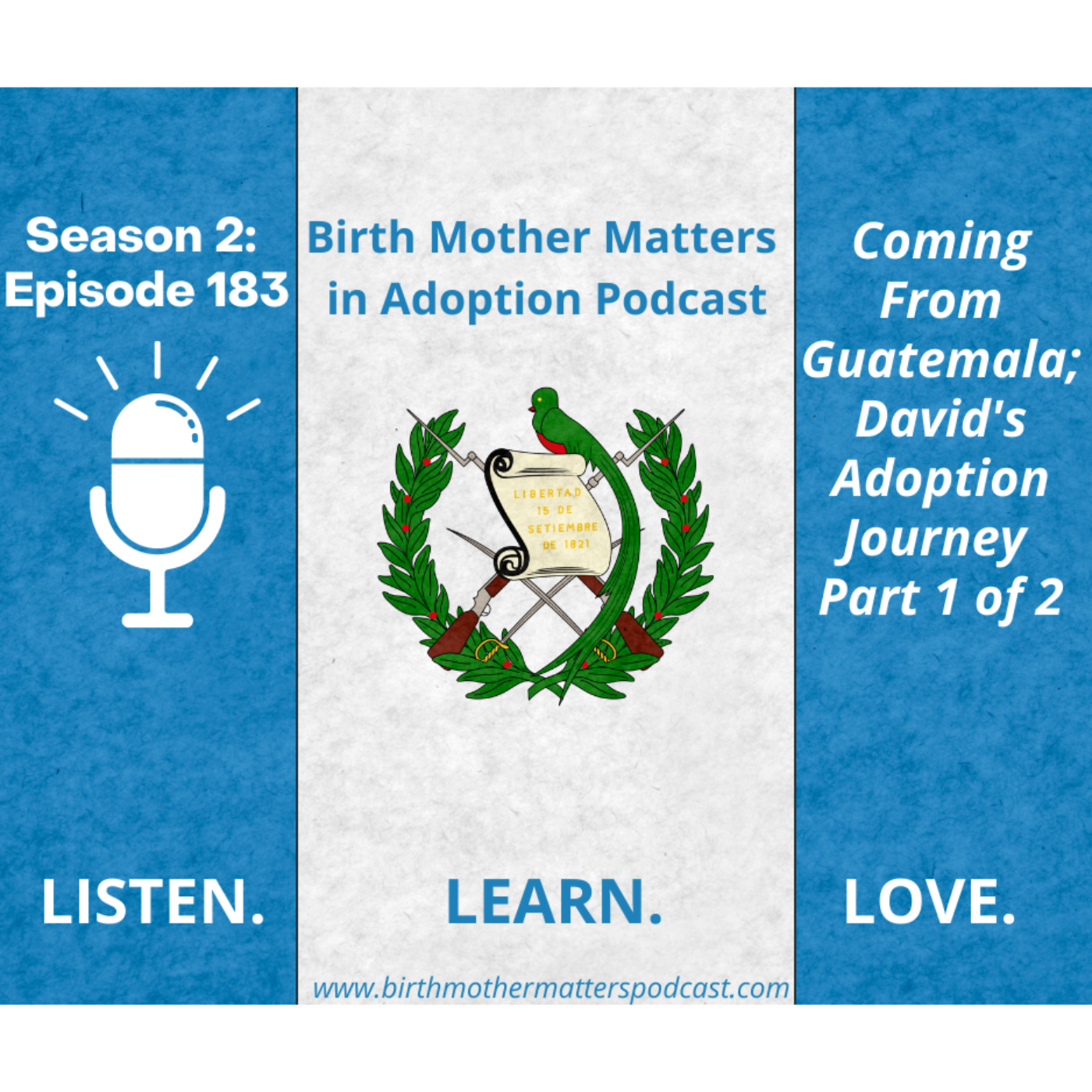 Birth Mother Matters in Adoption