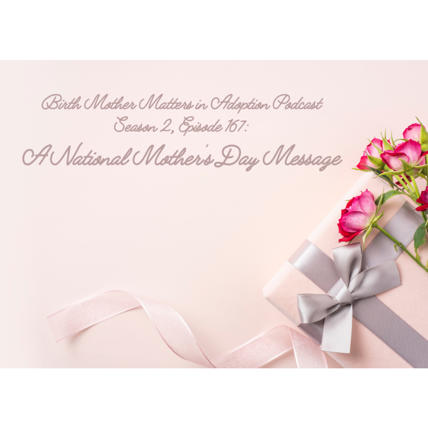 Birth Mother Matters in Adoption