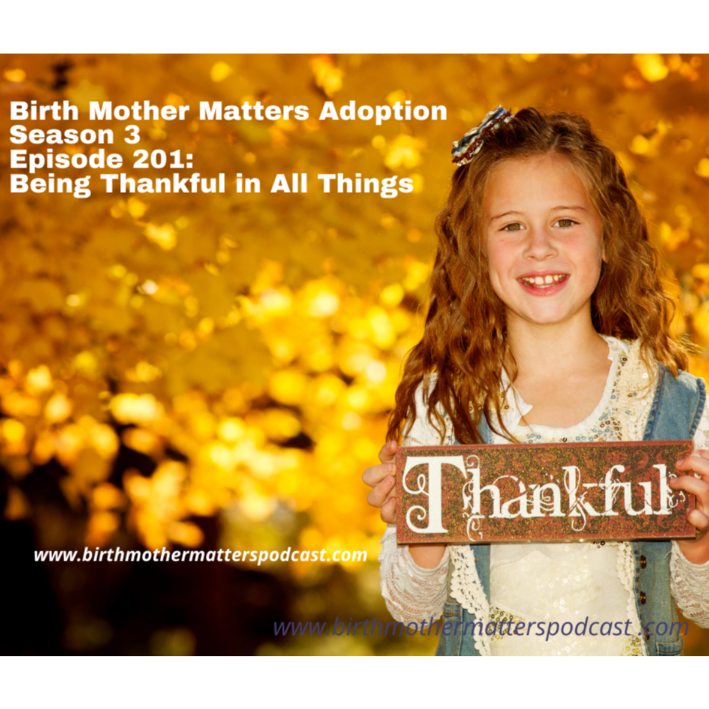 Birth Mother Matters in Adoption