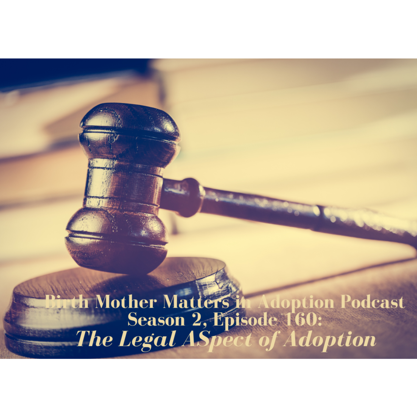 Birth Mother Matters in Adoption