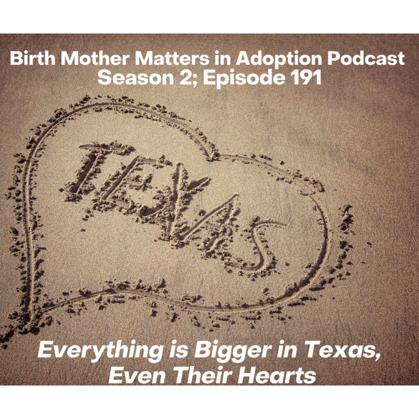 Birth Mother Matters in Adoption