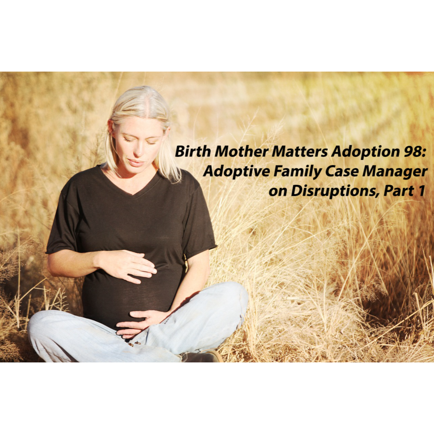 Birth Mother Matters Adoption 98: Adoptive Family Case Manager on Disruptions P1 episode artwork