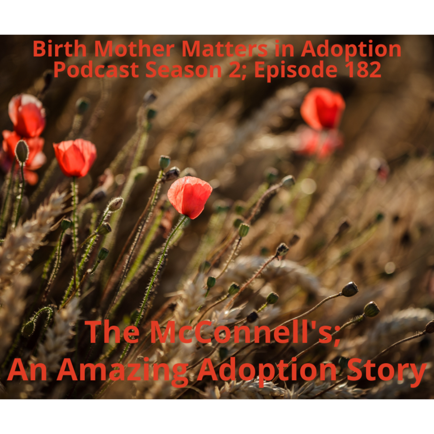 Birth Mother Matters in Adoption