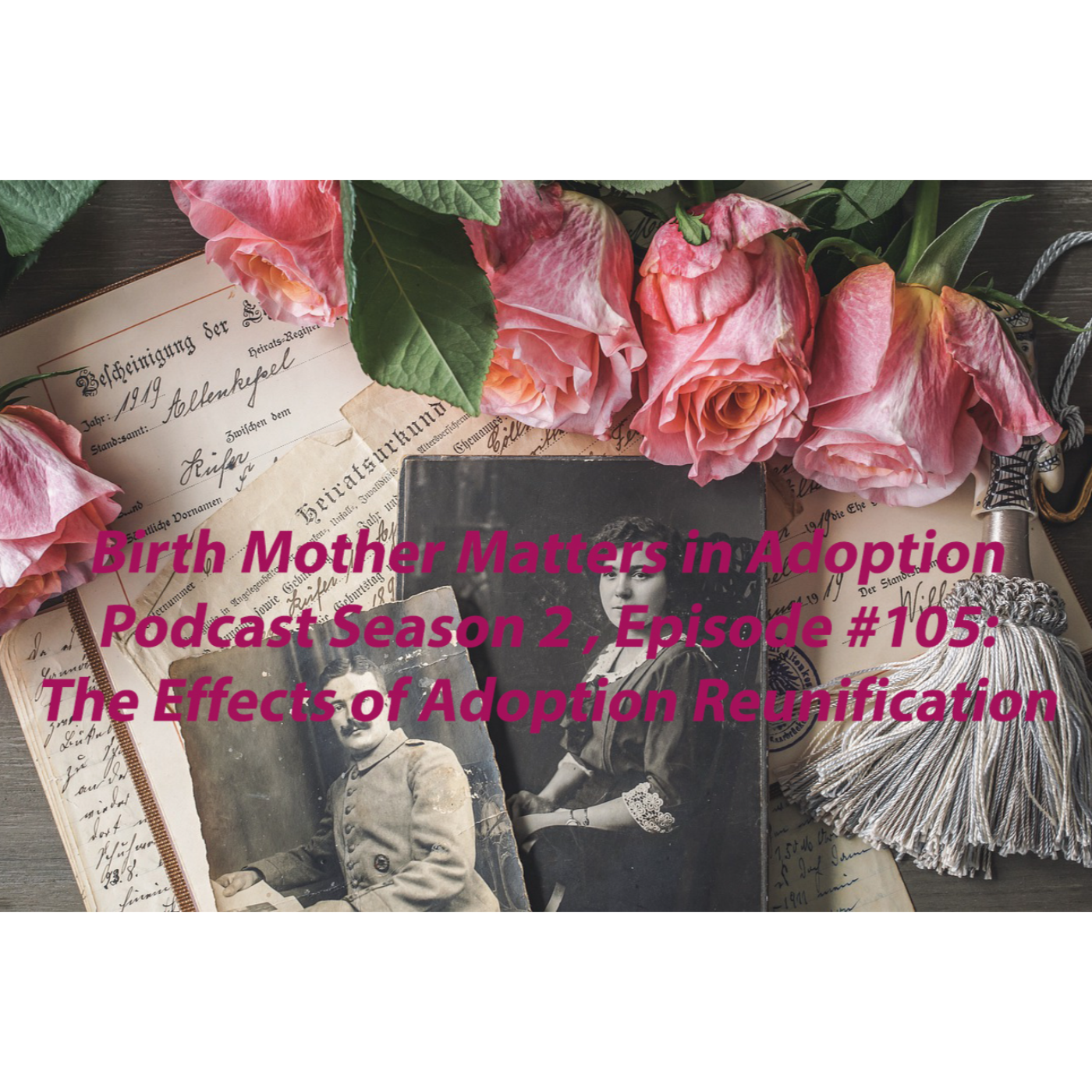 Birth Mother Matters in Adoption