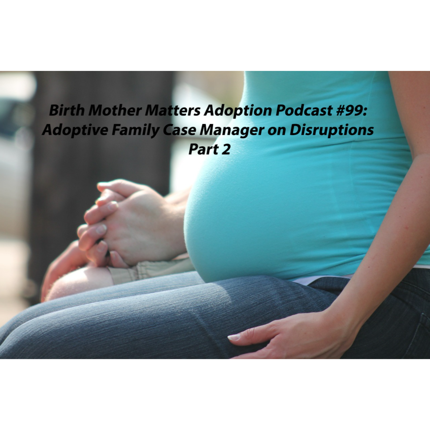 Birth Mother Matters Adoption 99: Adoptive Family Case Manager on Disruptions P2 episode artwork