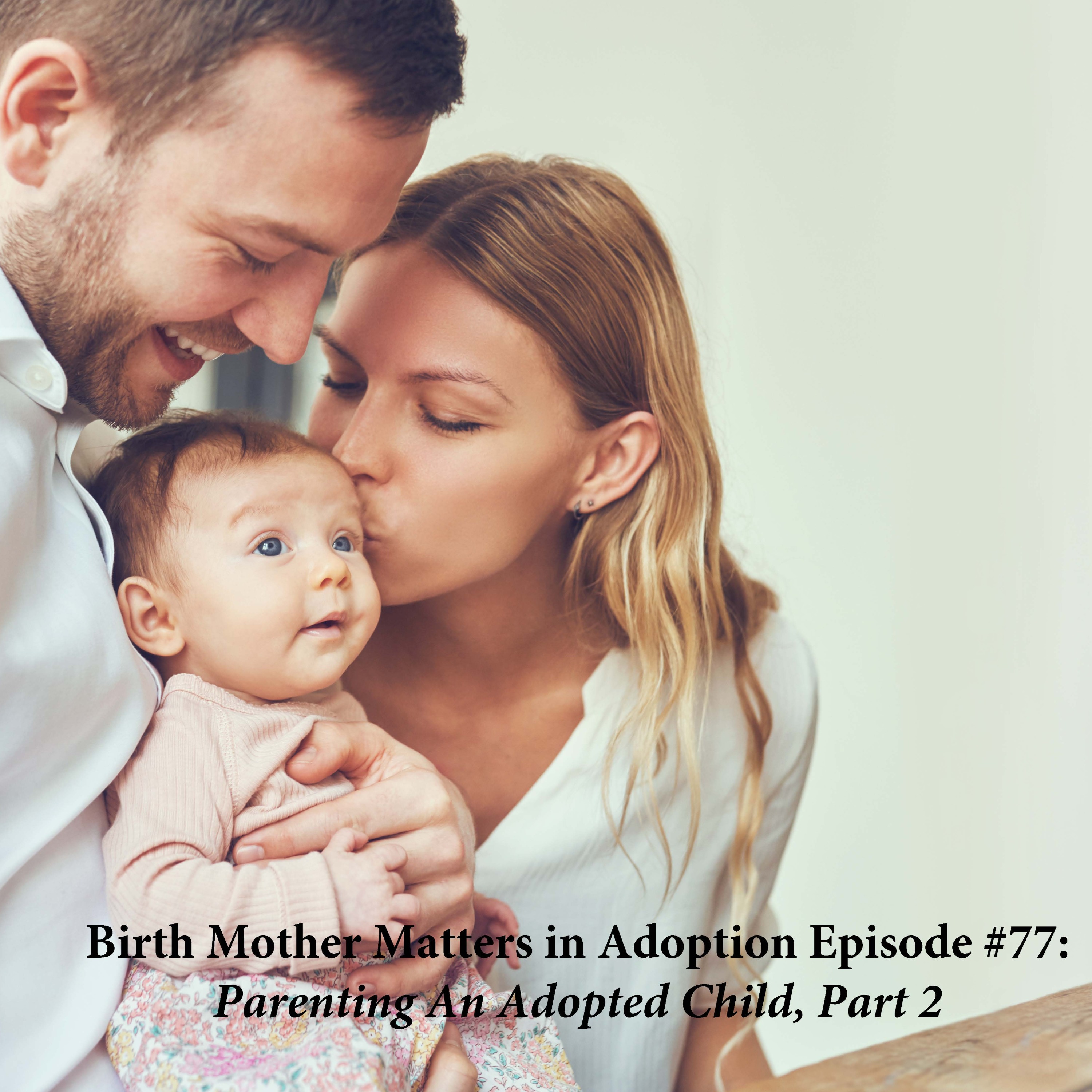 Birth Mother Matters in Adoption Episode #77: Parenting An Adopted Child, Part 2 episode artwork