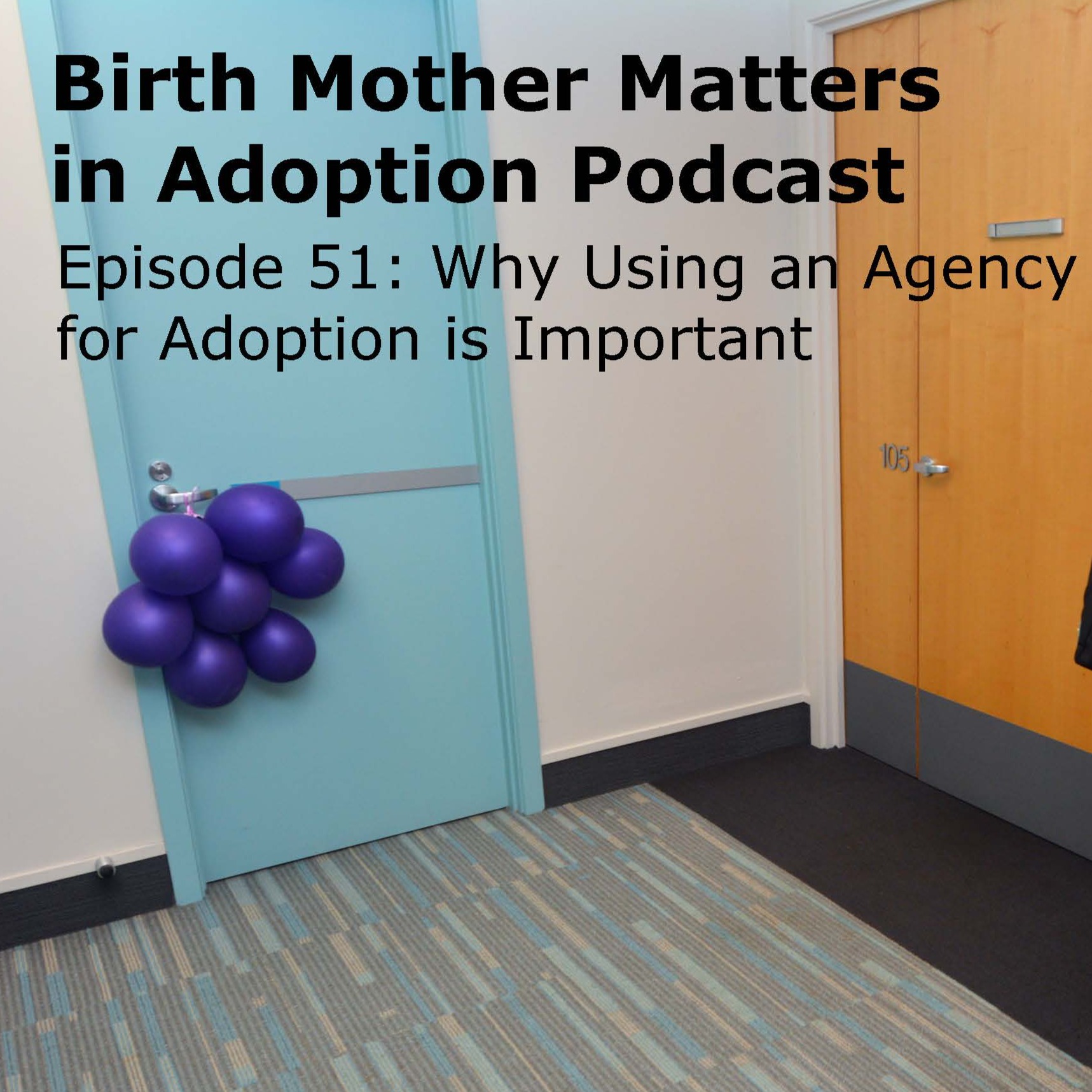 Birth Mother Matters Adoption 51: Why Using an Agency for Adoption is Important episode artwork