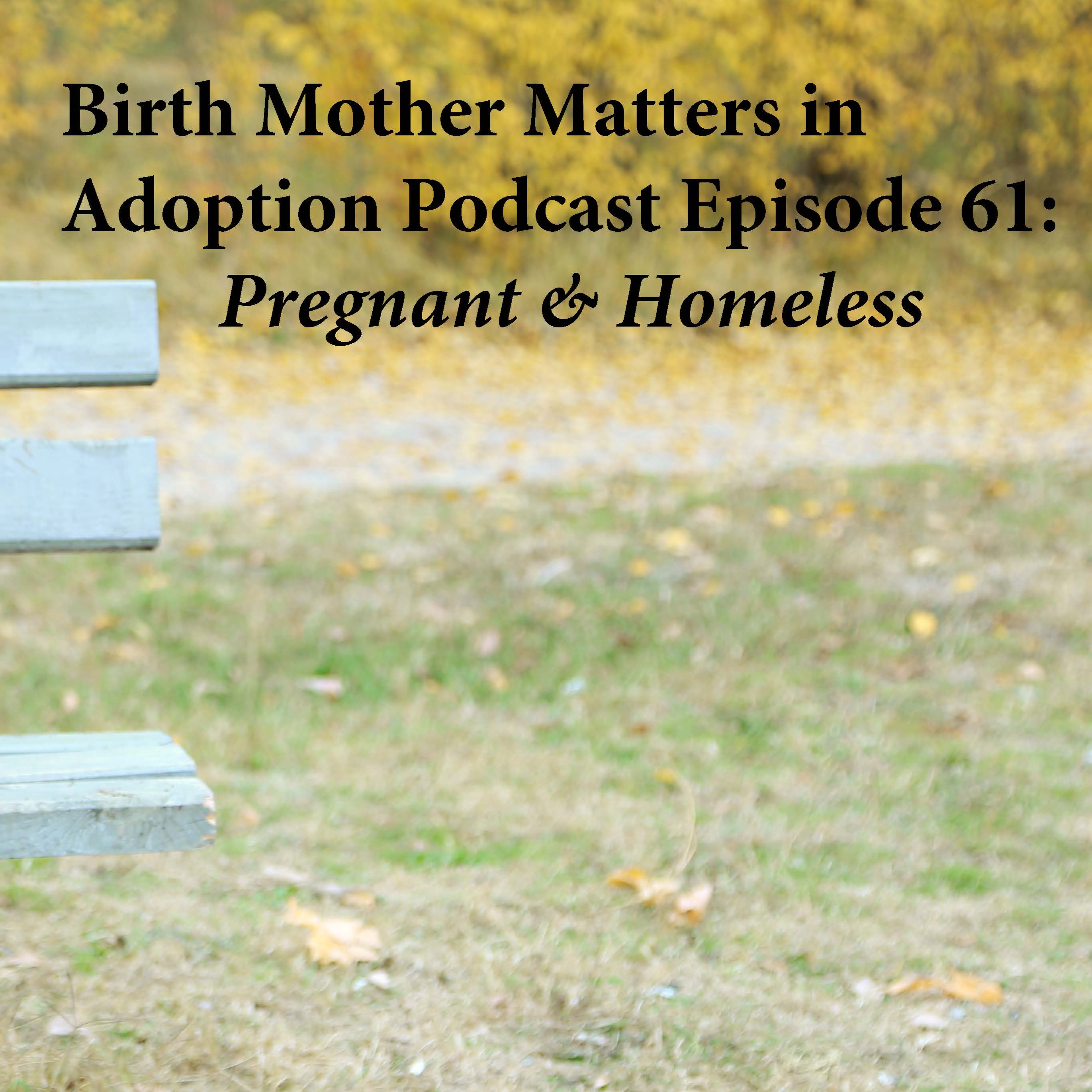 Birth Mother Matters in Adoption Episode 61 :Pregnant & Homeless episode artwork