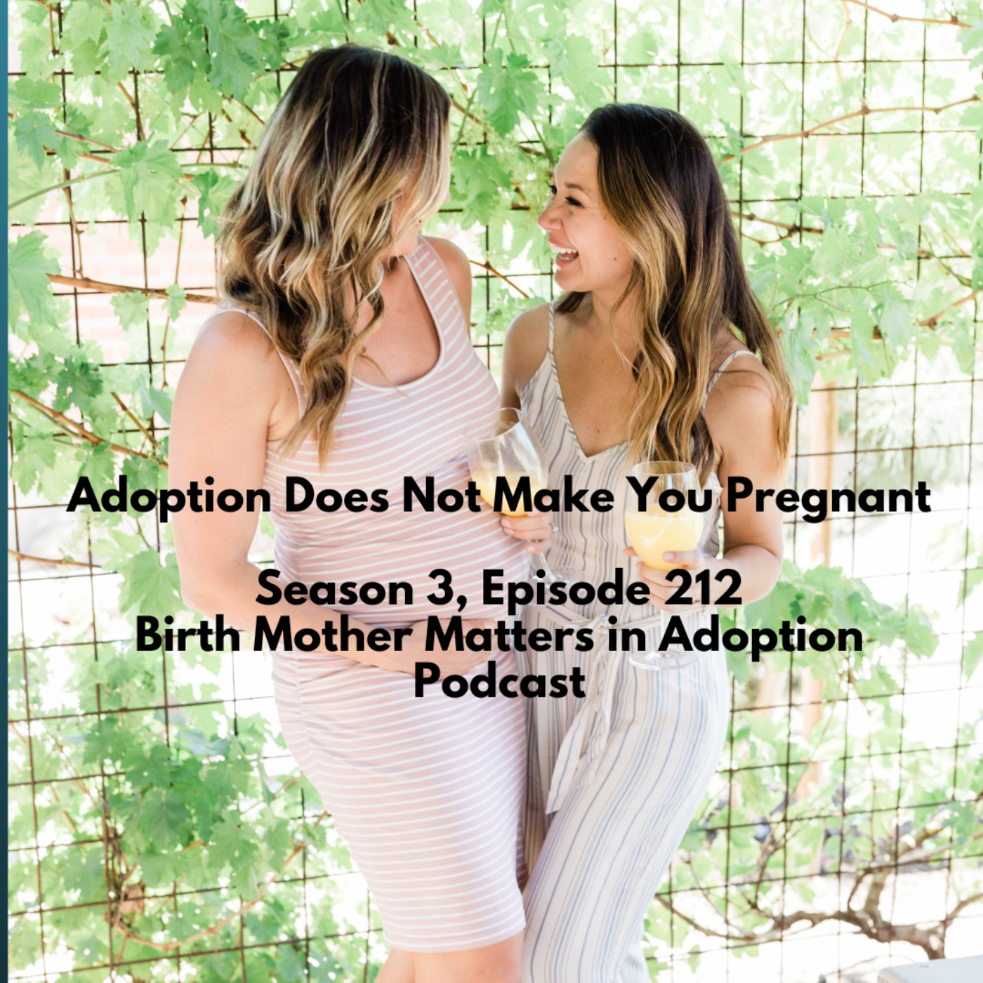 Birth Mother Matters in Adoption