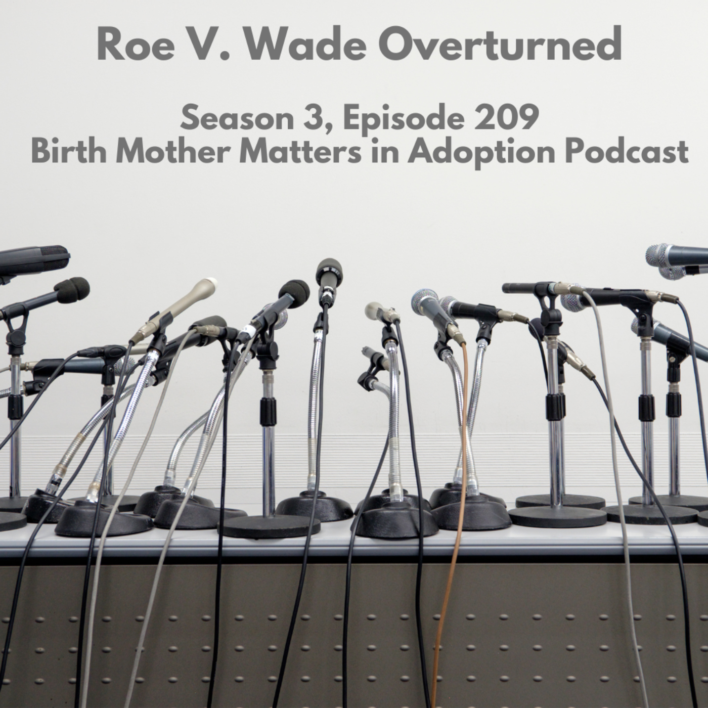 Birth Mother Matters in Adoption