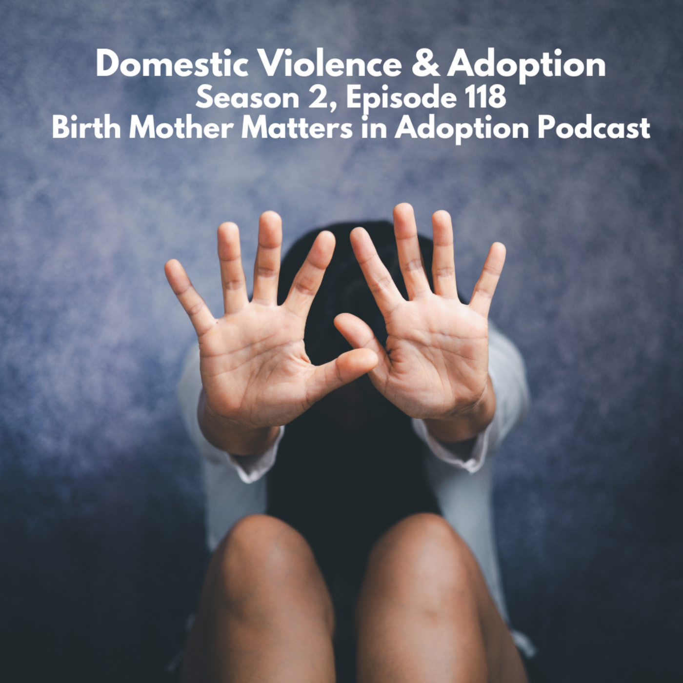 Birth Mother Matters in Adoption Season 2, 118: Domestic Violence & Adoption episode artwork