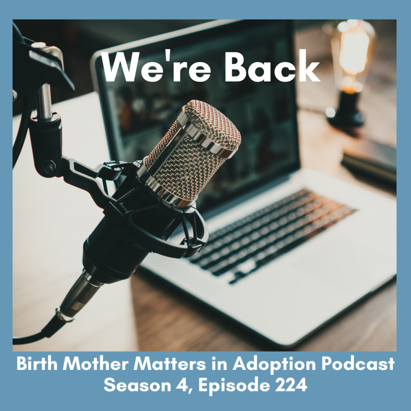 Birth Mother Matters in Adoption