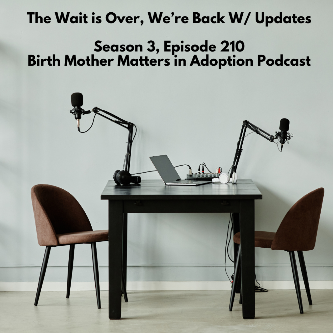 Birth Mother Matters in Adoption