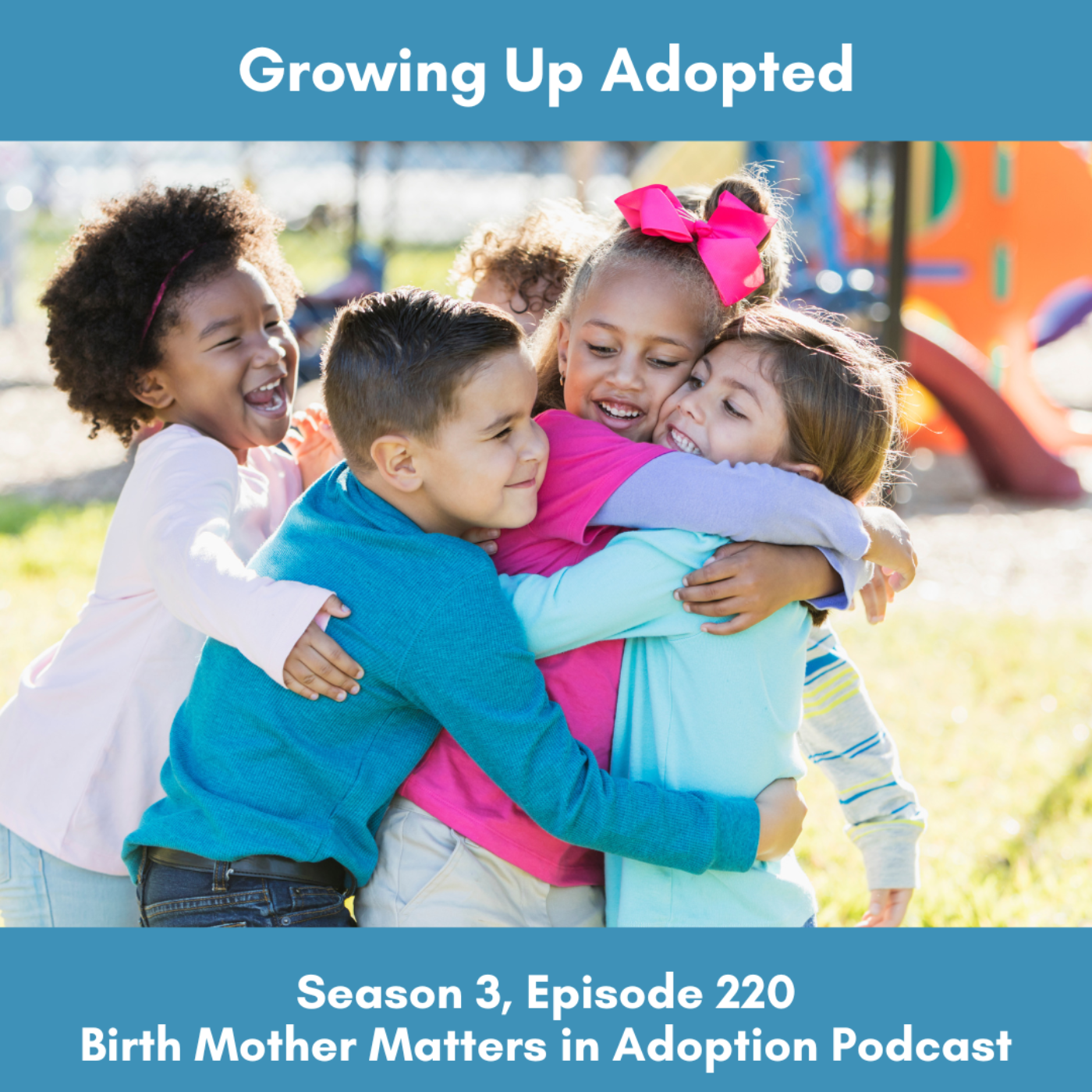 Birth Mother Matters in Adoption