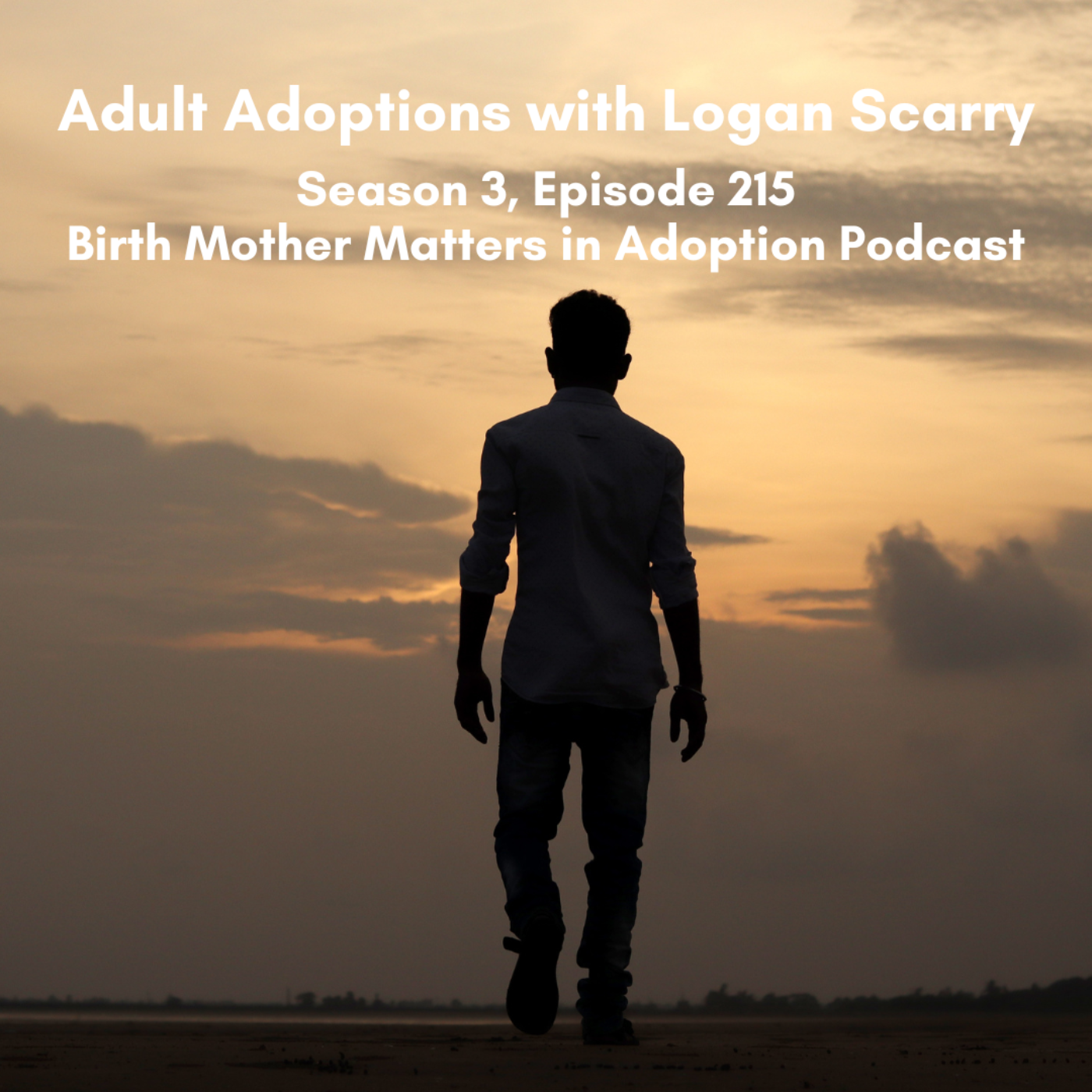 Birth Mother Matters in Adoption