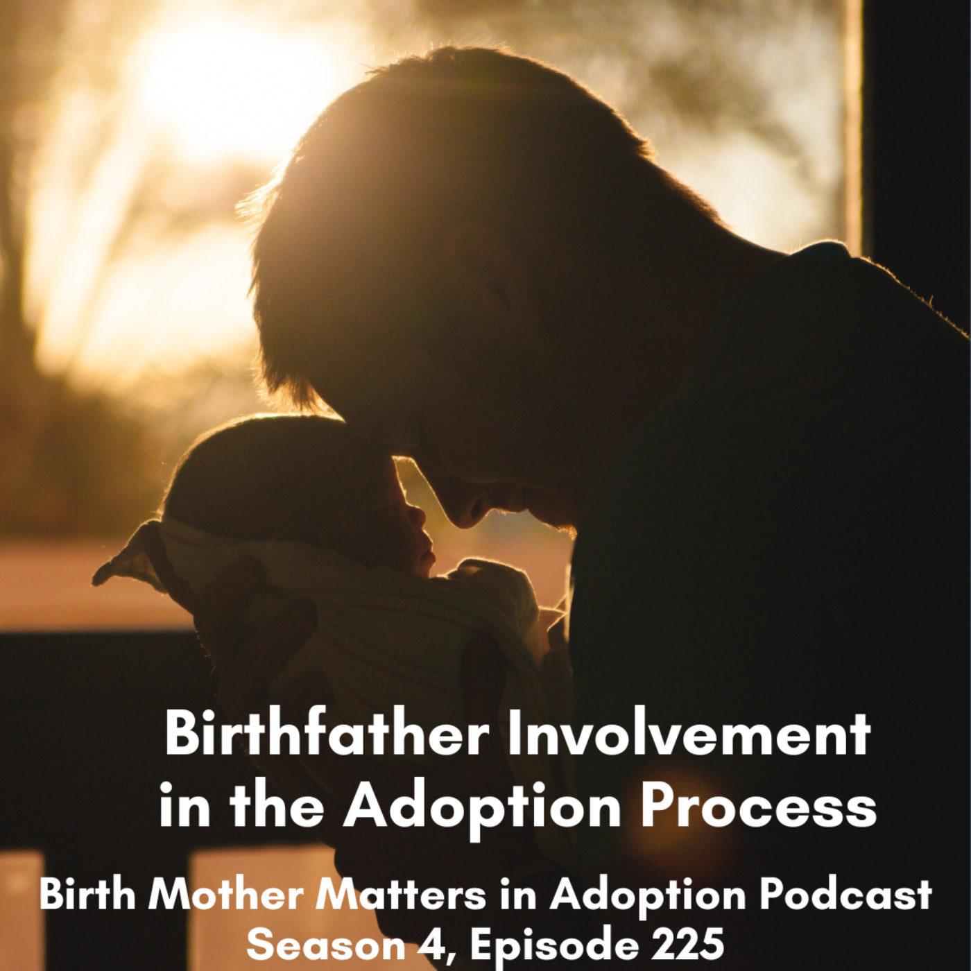 Birth Mother Matters in Adoption