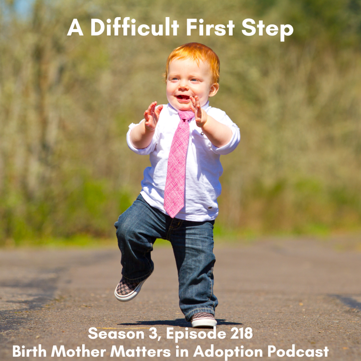 Birth Mother Matters in Adoption