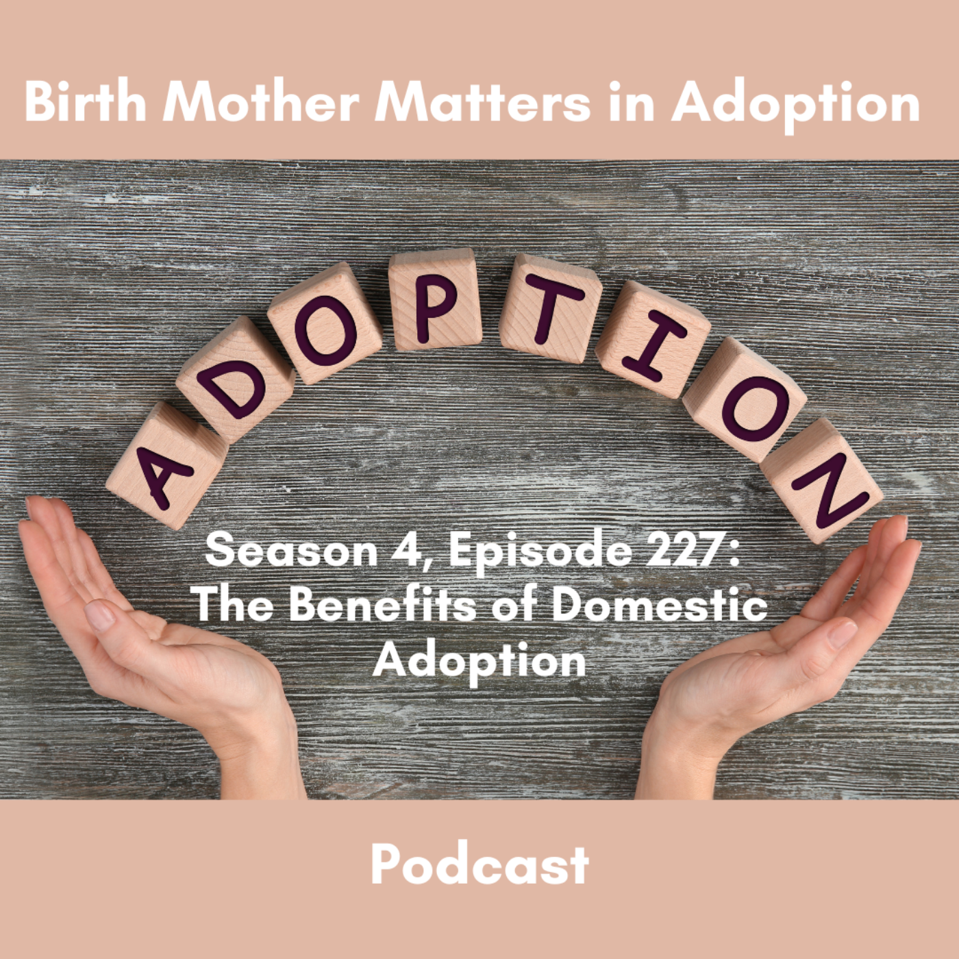 Birth Mother Matters in Adoption Season 4, Episode 227: The Benefits of Domestic Adoption episode artwork