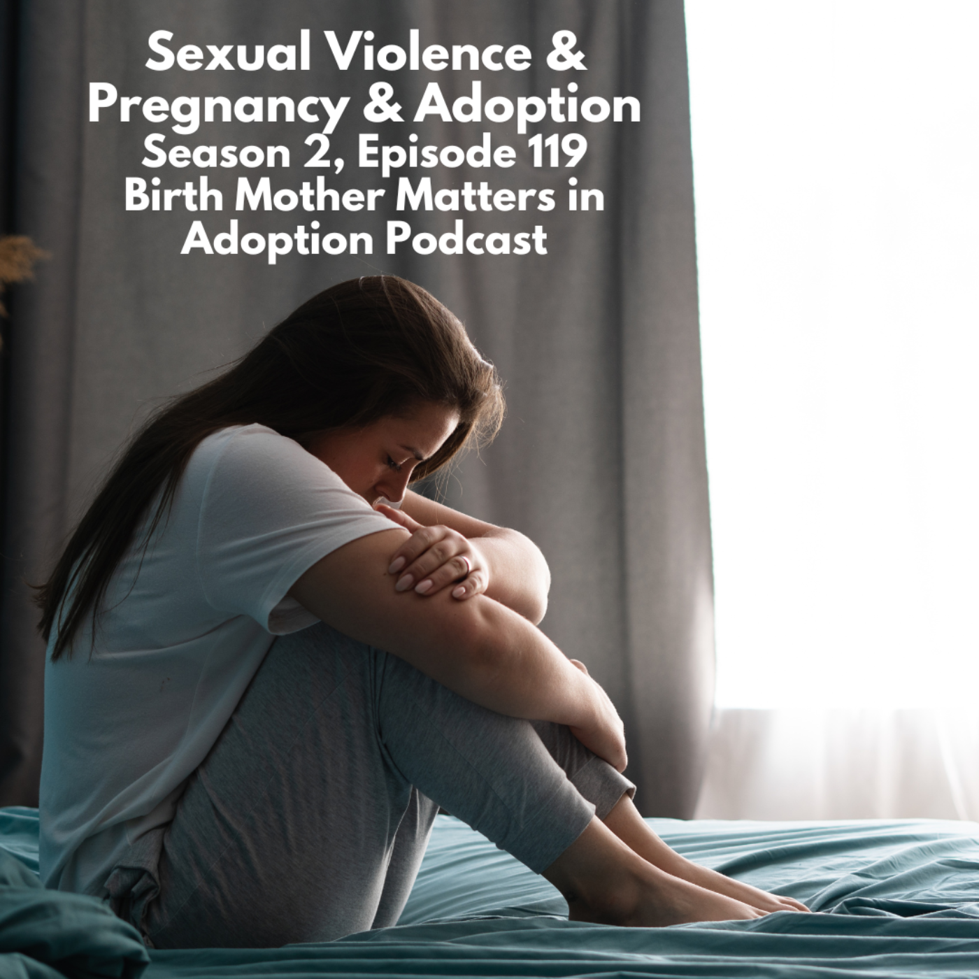 Birth Mother Matters Season 2, 119 Sexual Violence & Pregnancy & Adoption episode artwork