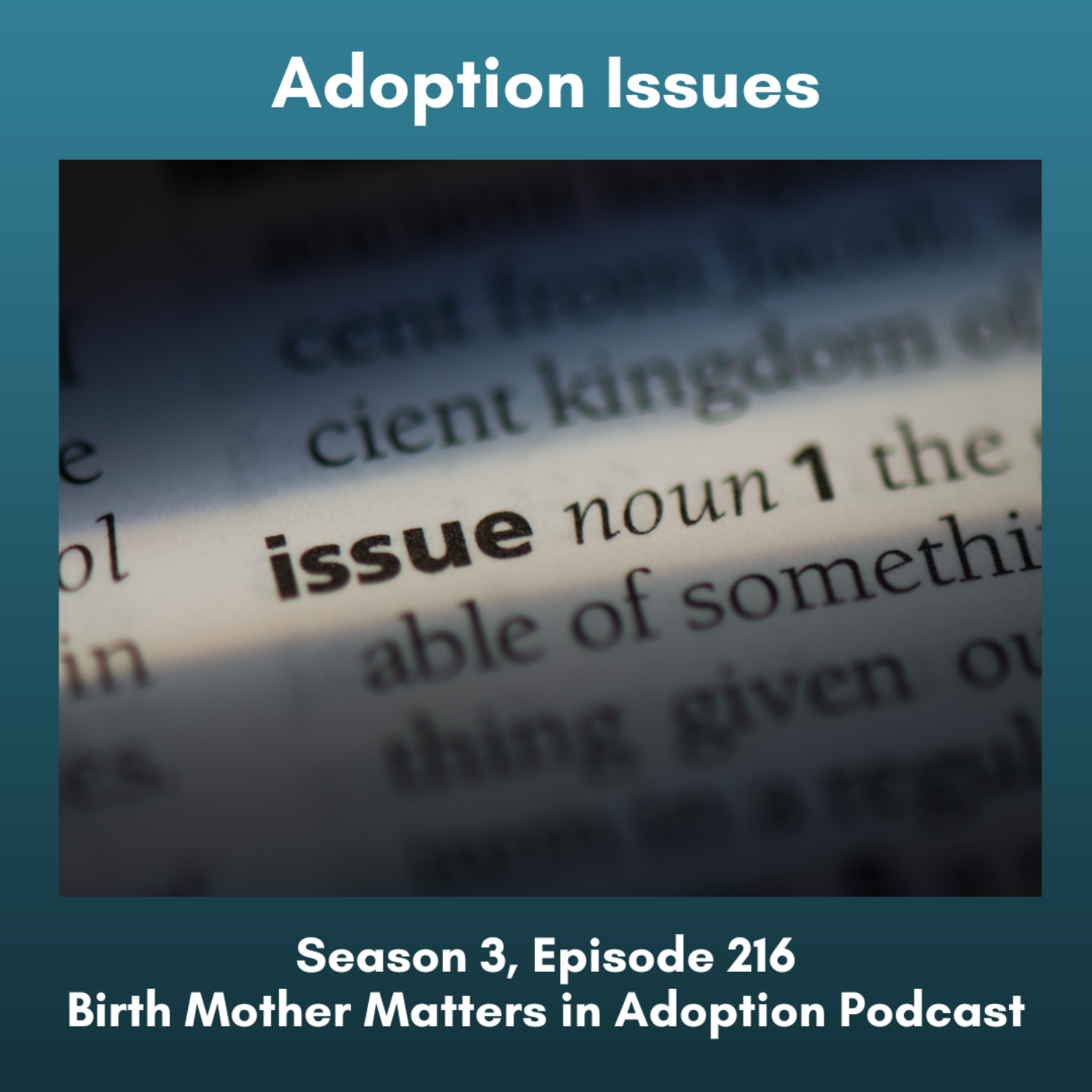 Birth Mother Matters in Adoption