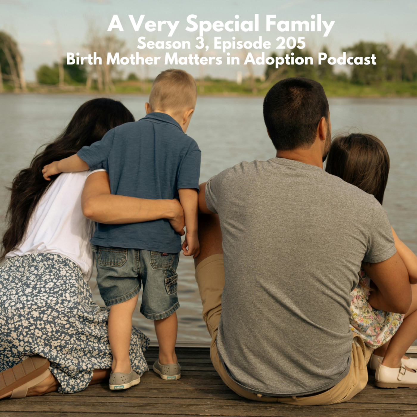 Birth Mother Matters in Adoption