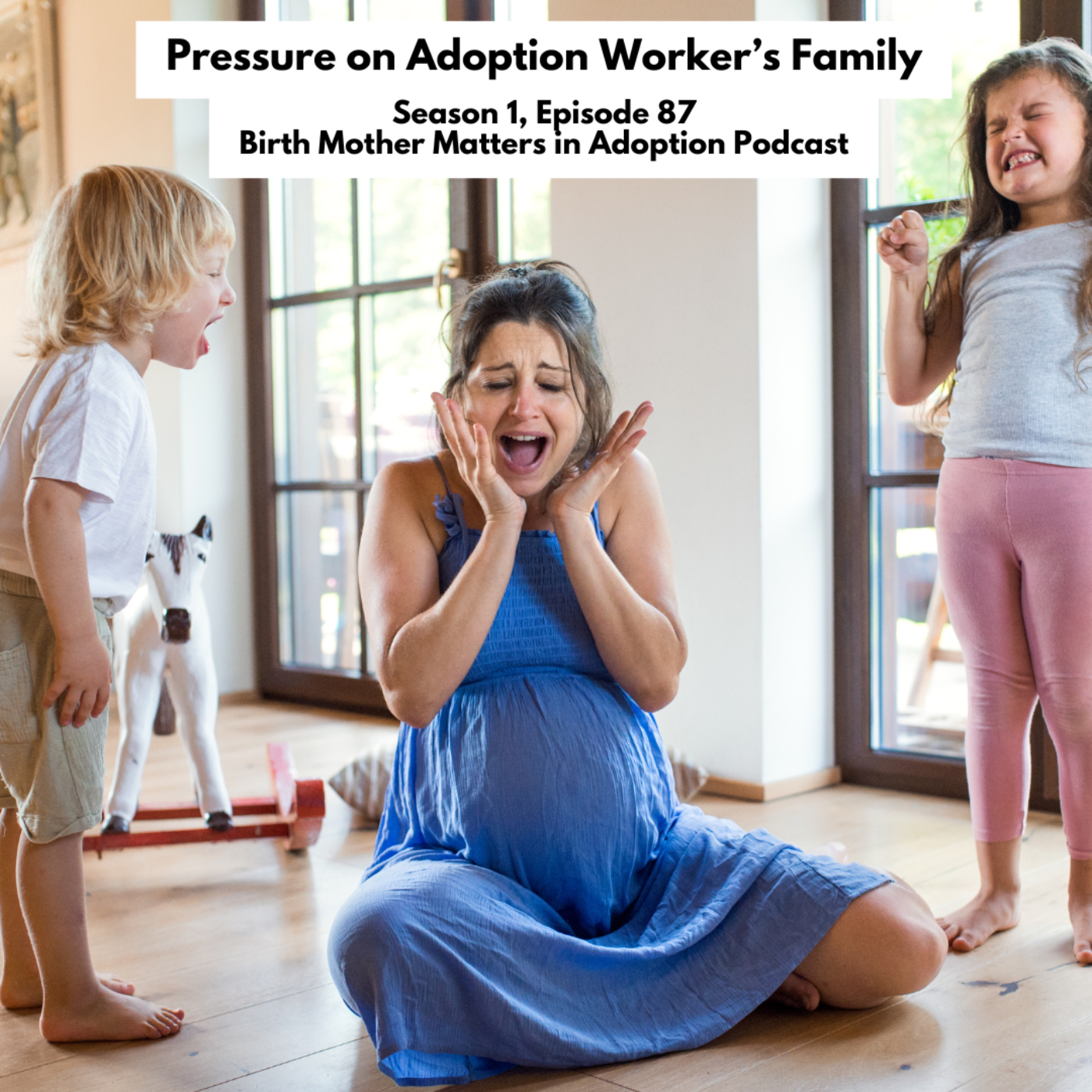 Birth Mother Matters Adoption Podcast 87: Pressure on Adoption Worker's Family episode artwork