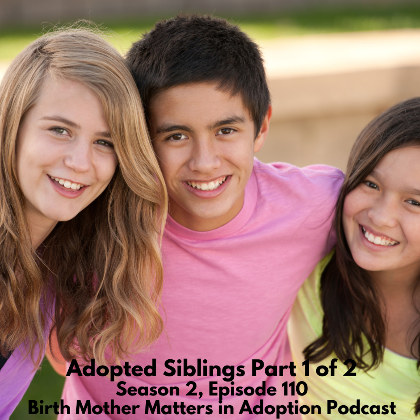 Birth Mother Matters in Adoption Season 2, 110: Adopted Siblings Part 1 of 2 episode artwork