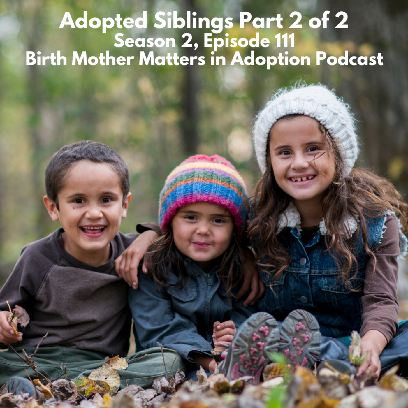 Birth Mother Matters in Adoption Season 2, 111: Adopted Siblings, Part 2 of 2 episode artwork
