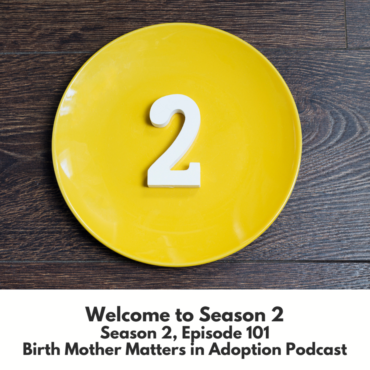 Birth Mother Matters In Adoption Season 2 #101 - Welcome to Season 2 episode artwork