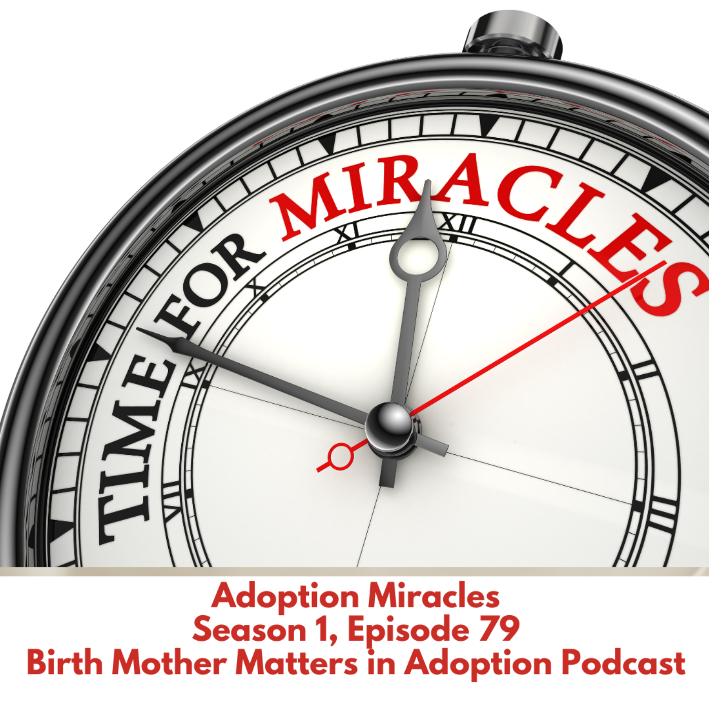 Birth Mother Matters in Adoption Episode 79: Adoption Miracles episode artwork