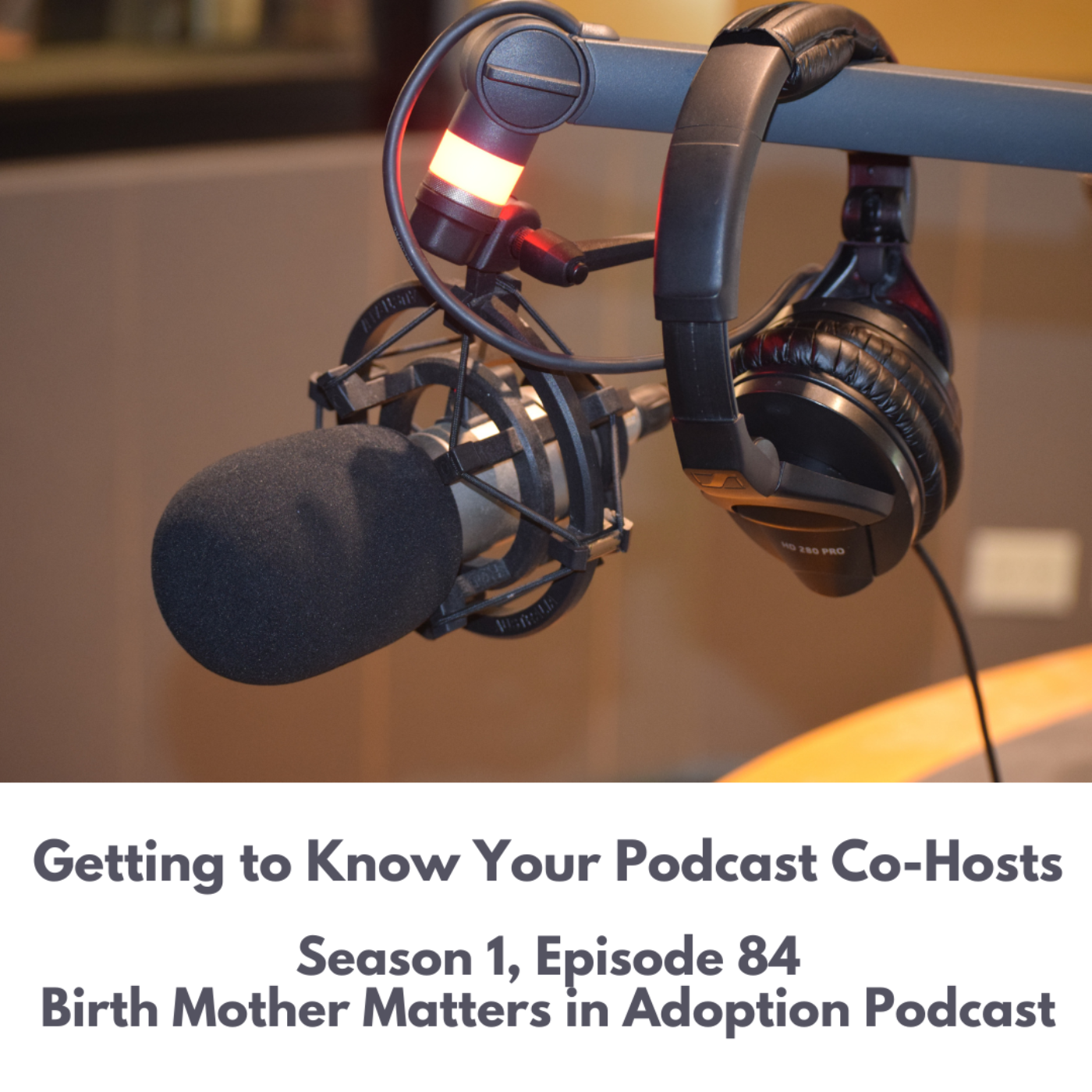 Birth Mother Matters in Adoption #84: Getting To Know Your Podcasts Co-Hosts episode artwork