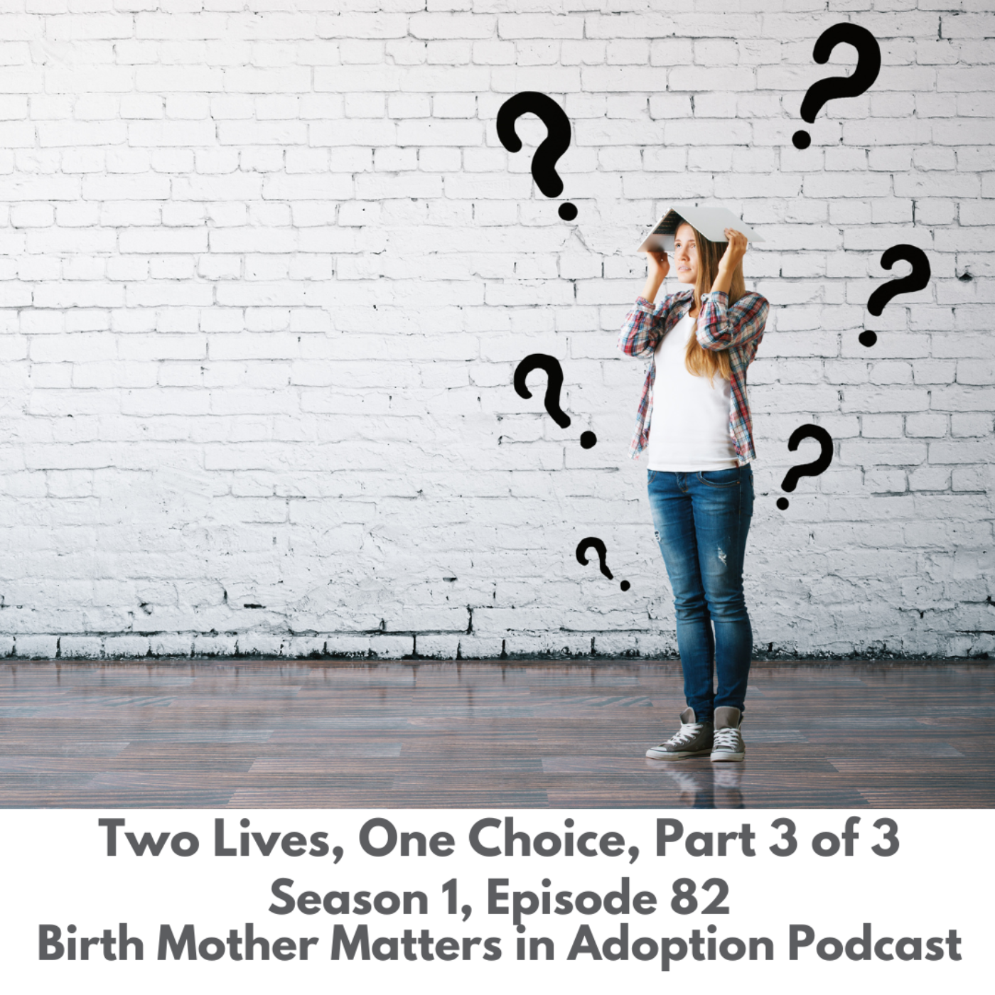 Birth Mother Matters in Adoption #82: Two Lives, One Choice Part 3 of 3 episode artwork