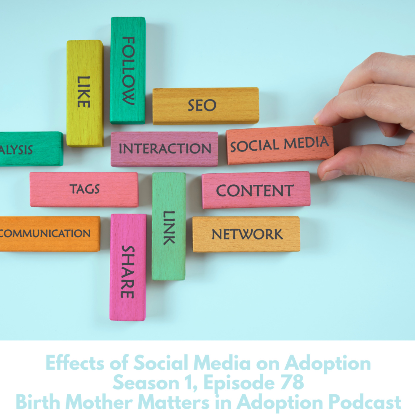 Birth Mother Matters in Adoption #78: Effects of Social Media on Adoption episode artwork
